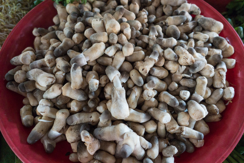 mushrooms at the market