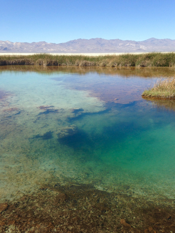 blue-green water in Black Rock Springs