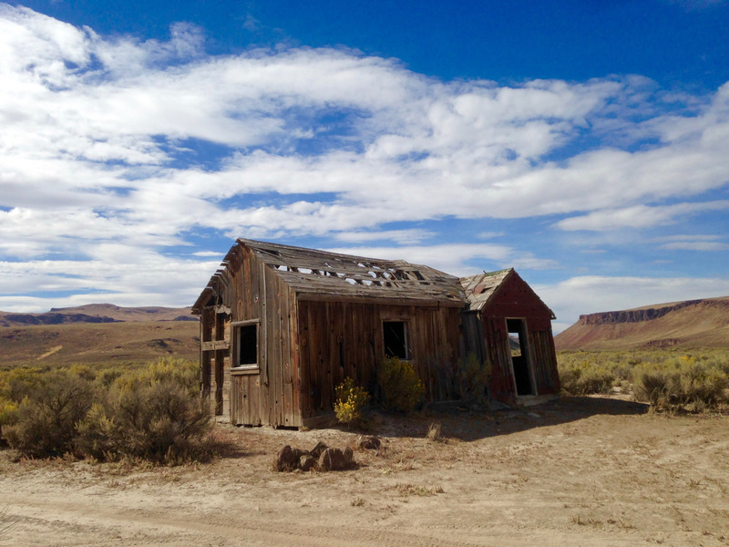 deserted wooden shack