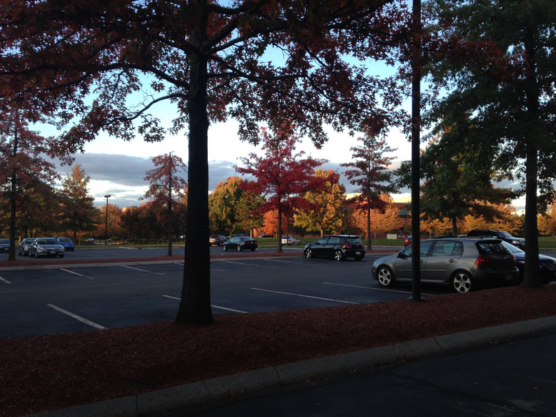 parking lot with colorful trees