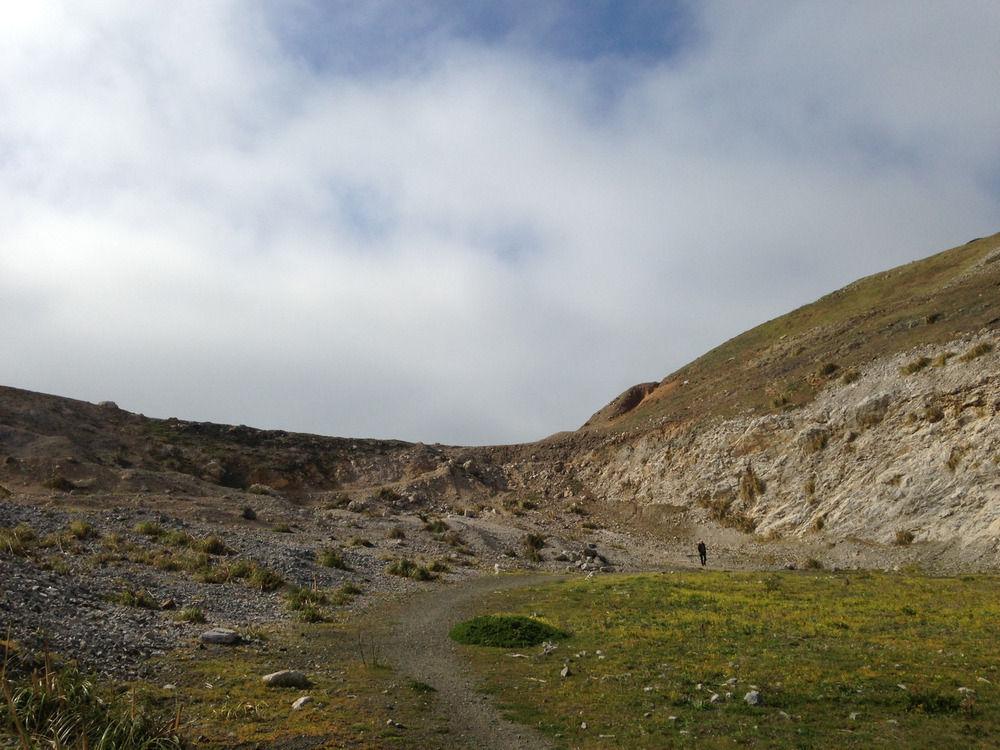 windswept hill