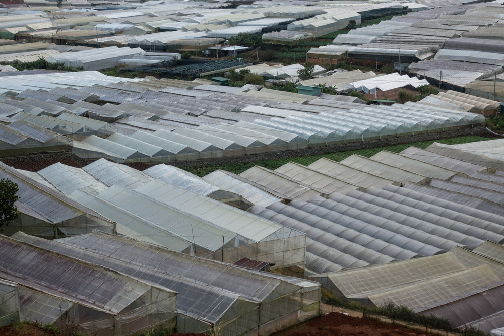 greenhouses, zoomed view