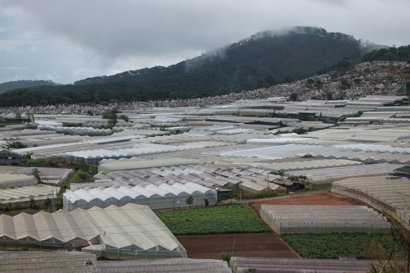 greenhouses