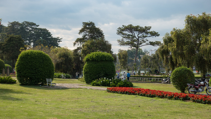 sheared topiary