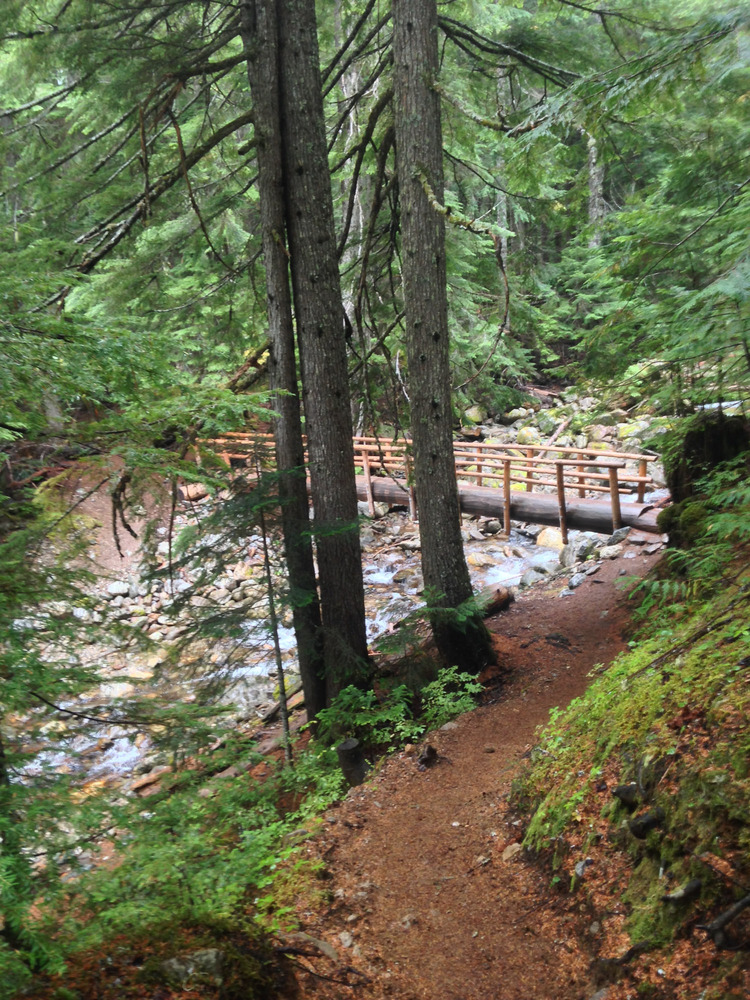 bridge over a stream