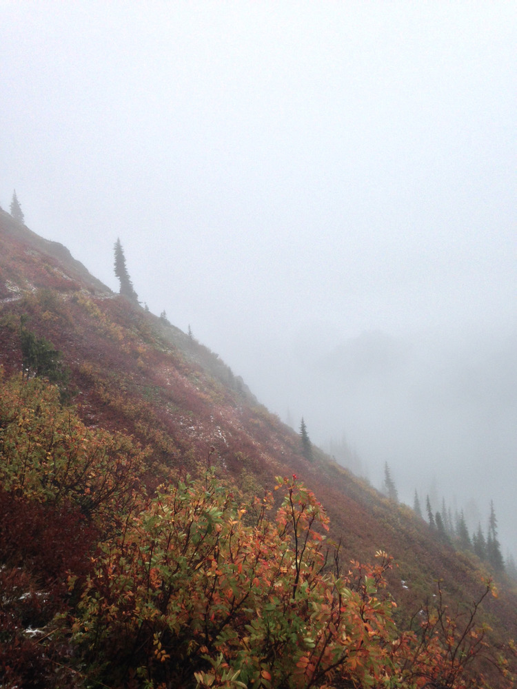 foggy hillside