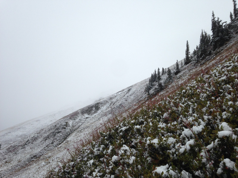 snow on the hillside