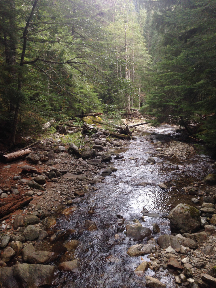 looking up a stream