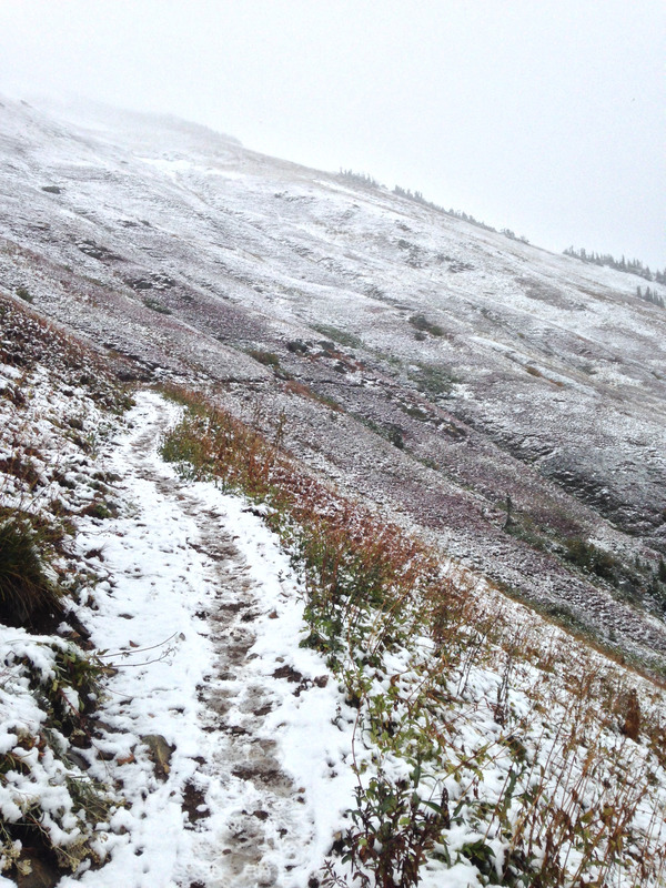 the snowy trail