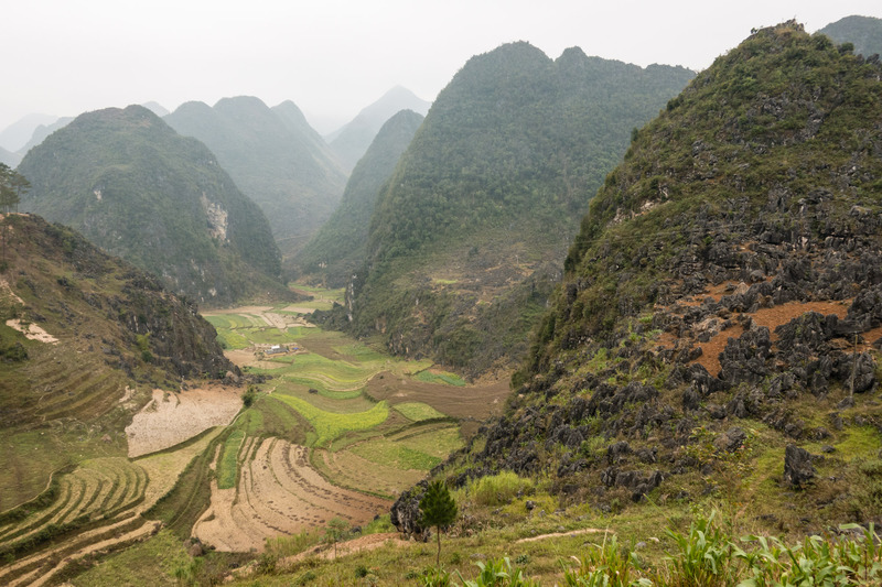 fields between limestone karsts