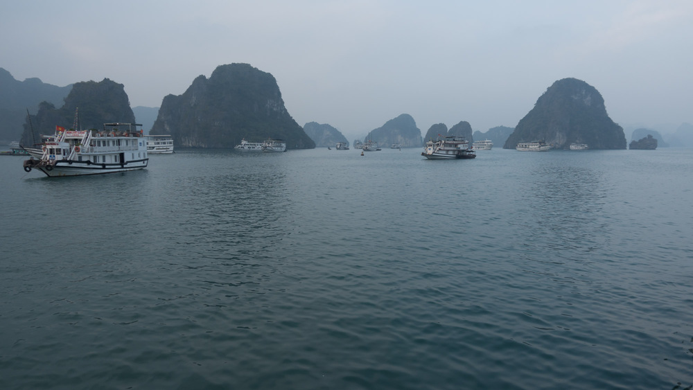 moored boats in the morning.jpg