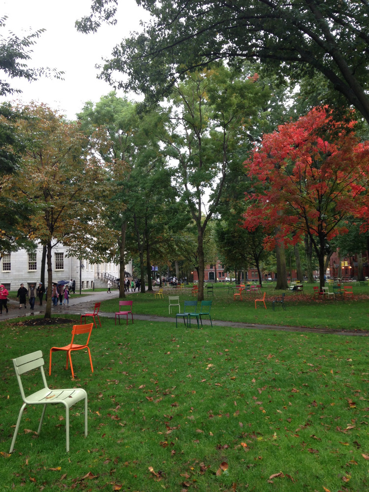 chairs on the Harvard lawn