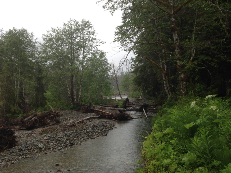 the river near the trailhead