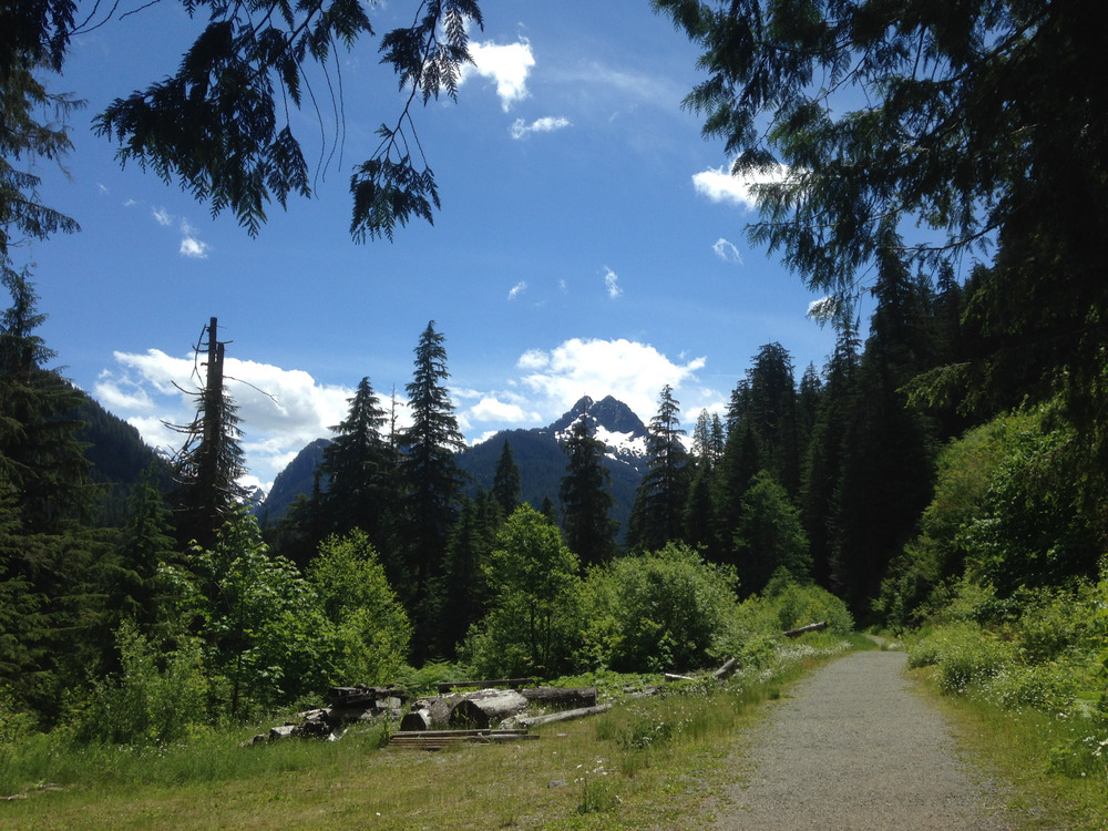 trail with blue sky above