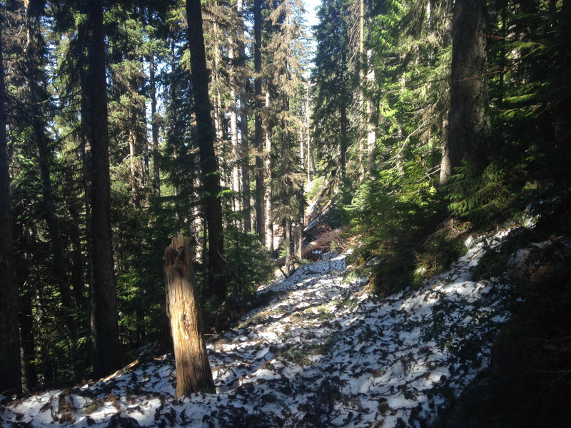 first view of snow