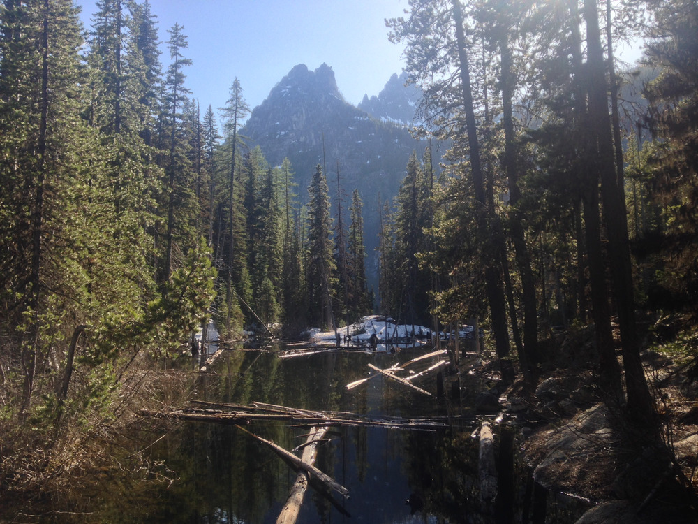 logs floating in Nada Lake