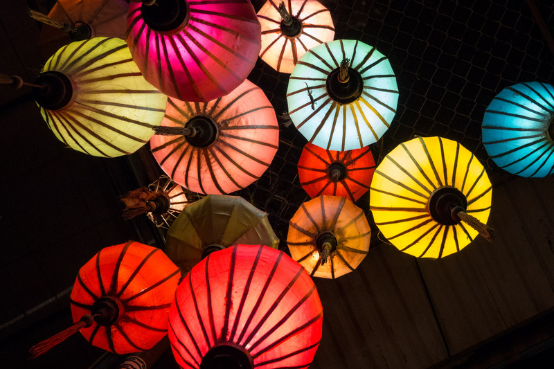 gecko illuminated against a cluster of lanterns