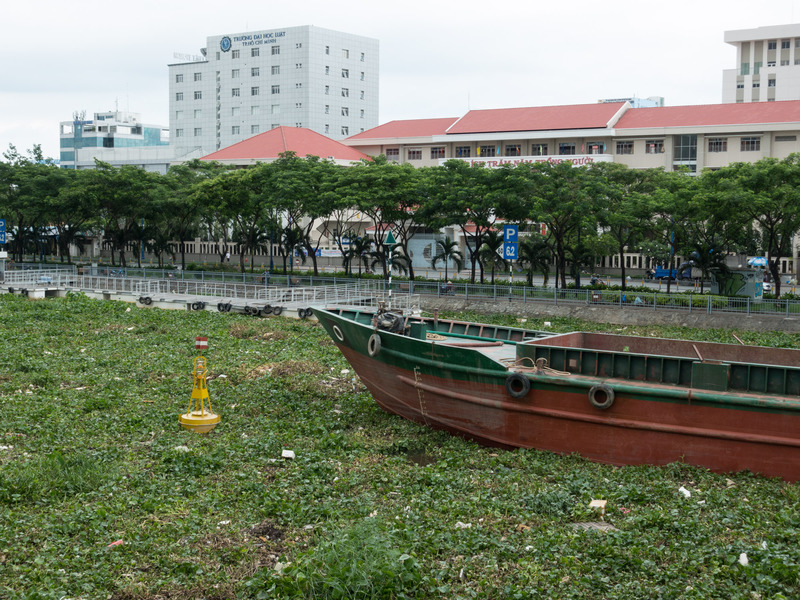 boat on the weedy river