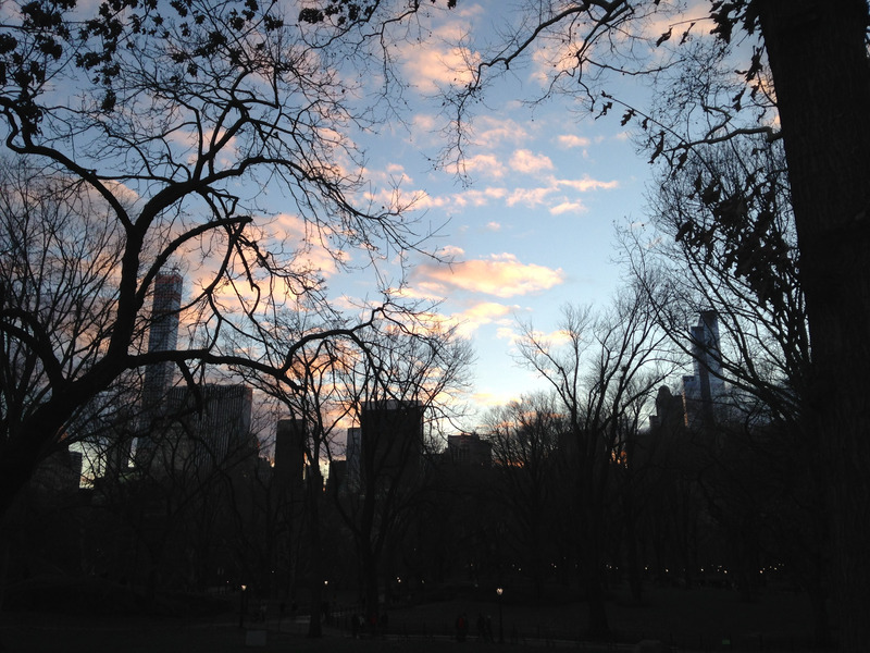 NYC skyline from Central Park, 2