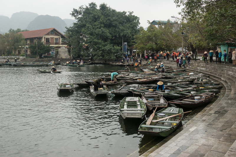 docked boats