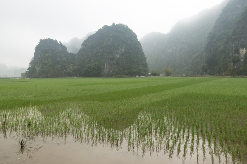 reflection of mountains in the flooded rice paddy