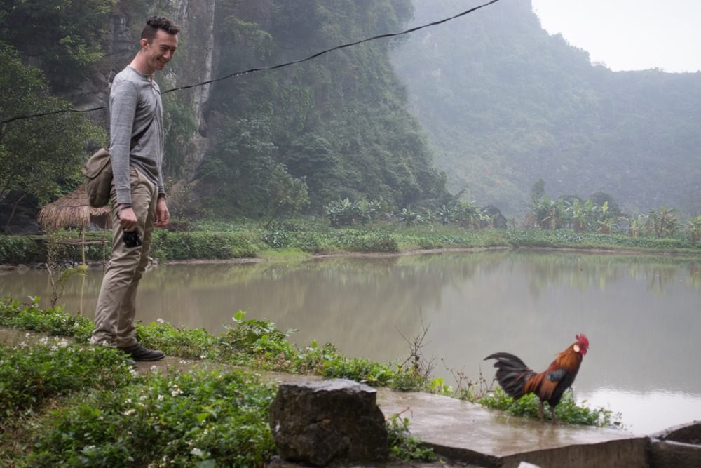 Jake and the rooster