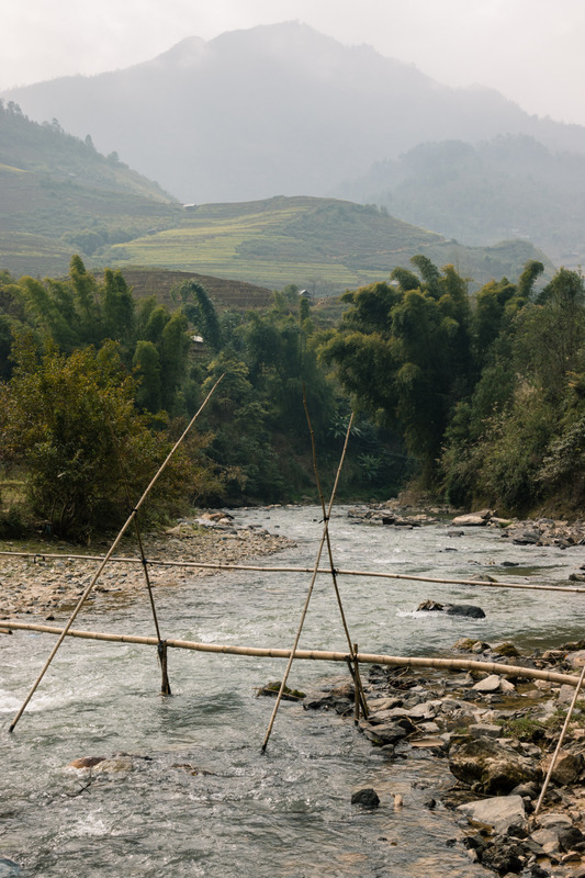 bamboo bridge