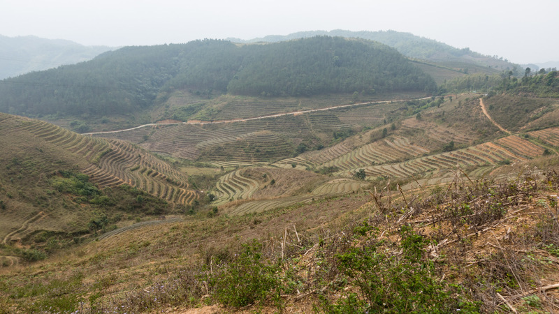 dry terraced fields