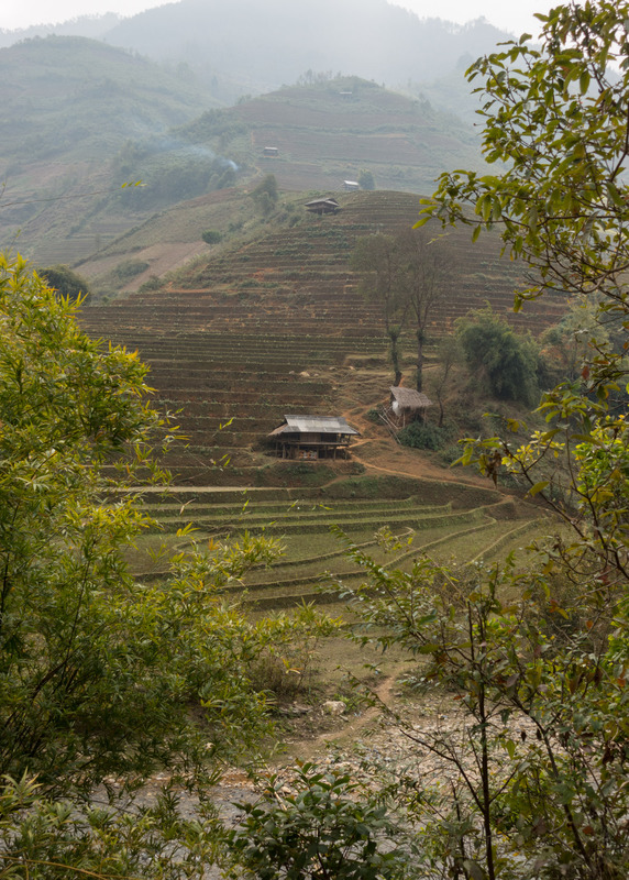 terraced hillside above a river