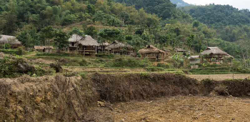 houses in the hillside rice paddies