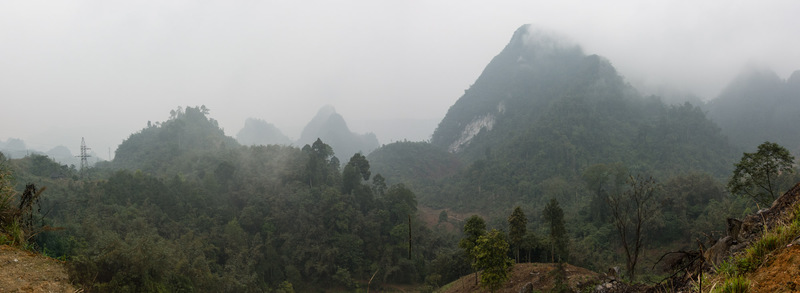 forested mountains