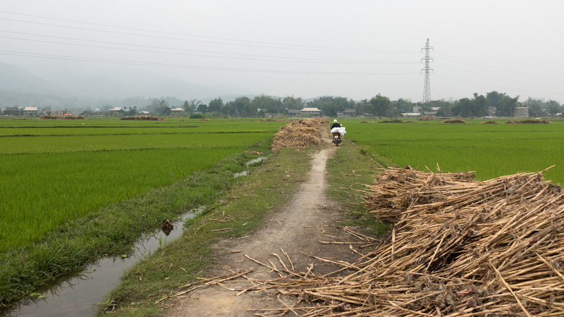 road through the rice paddies