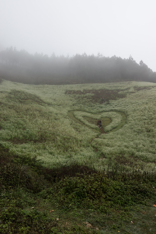 groomed hillside showing a heart