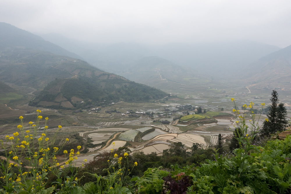 terraced valley through the fog