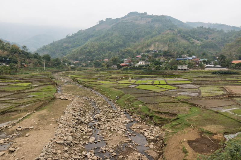 rice paddies around a rocky stream