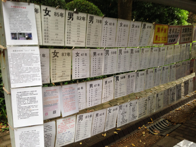 personal ads hanging between trees