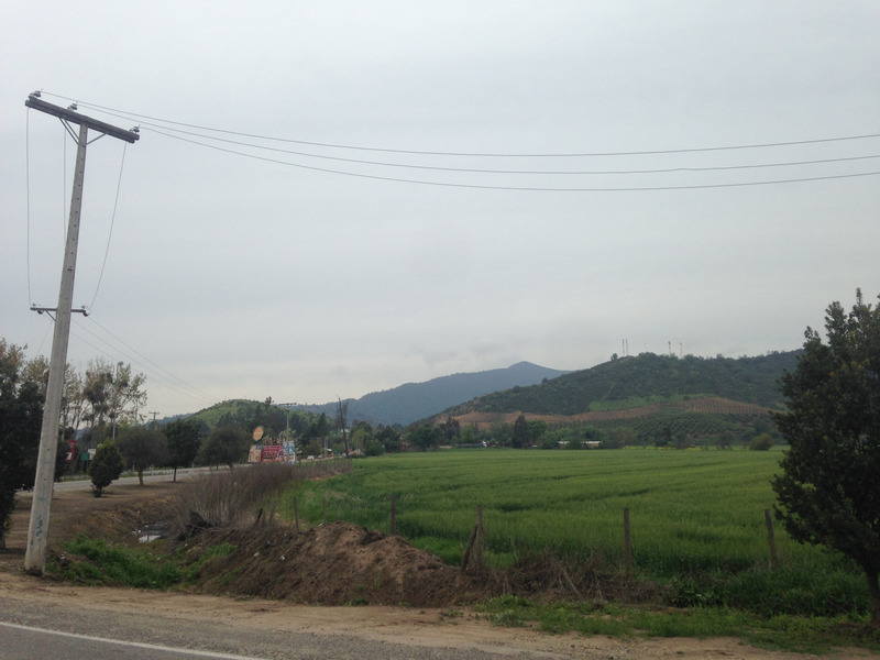 green field next to the road