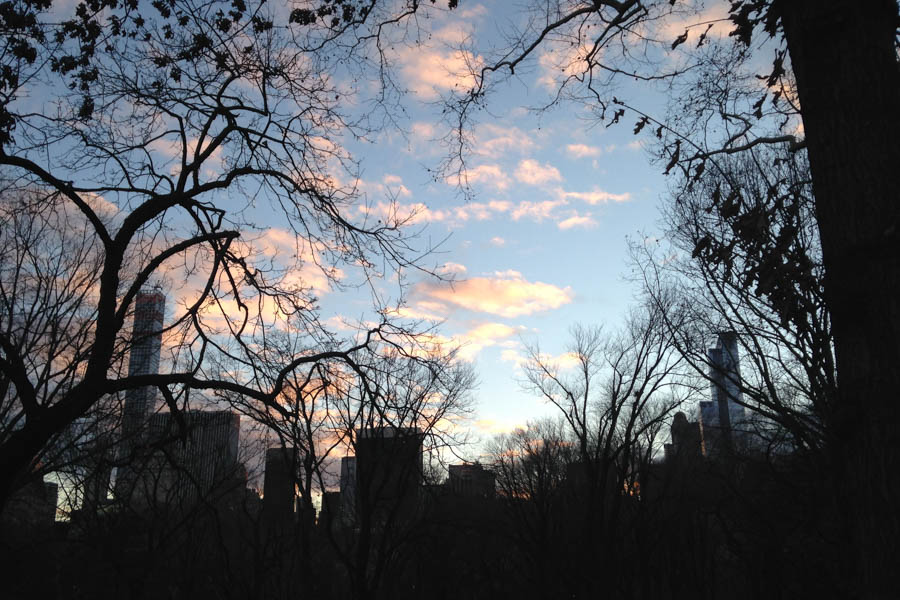 NYC skyline from Central Park