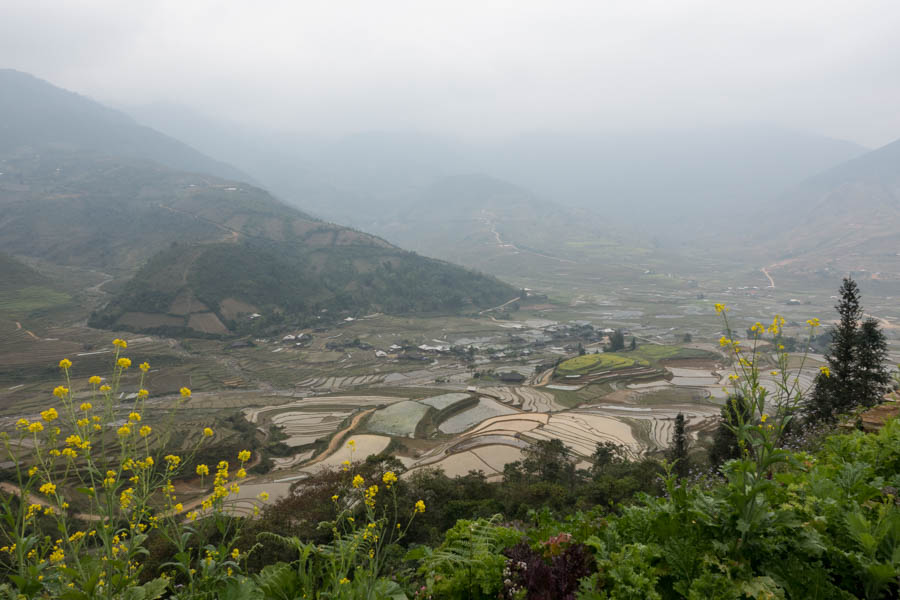 motorbike in front of rice paddies