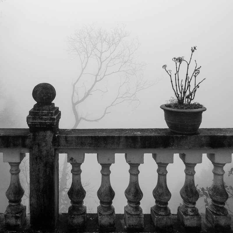 balcony with a potted plant