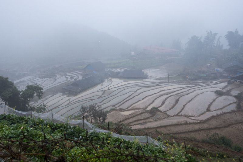flooded rice paddy terraces