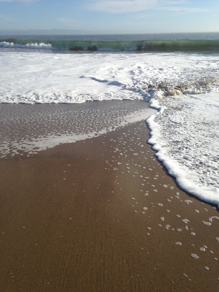 sea bream on the beach