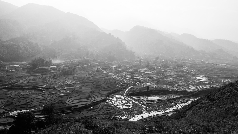 flooded rice fields in Lao Chải