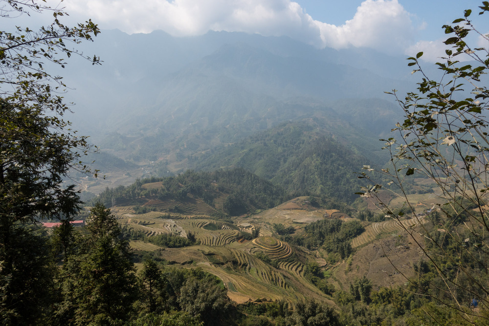 rice terraces in Hang Da