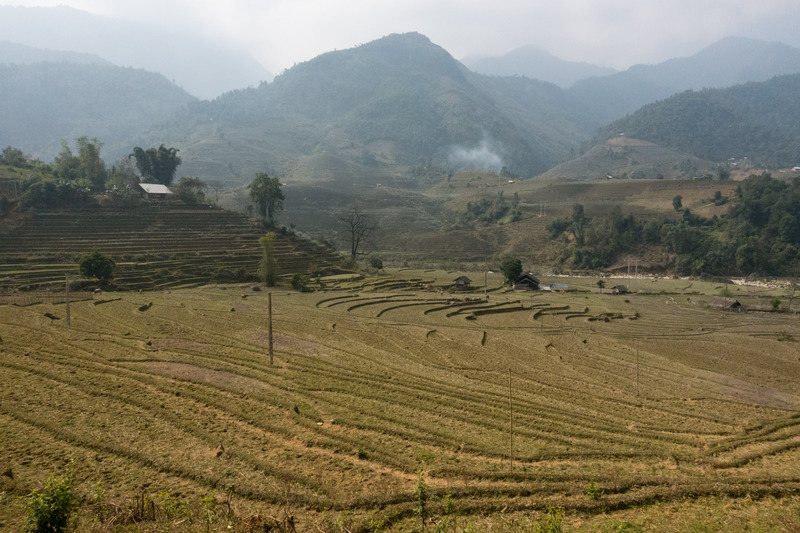 rice terraces in Nậm Sài