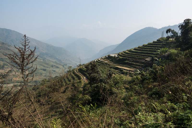hillside rice terraces in Thanh Kim