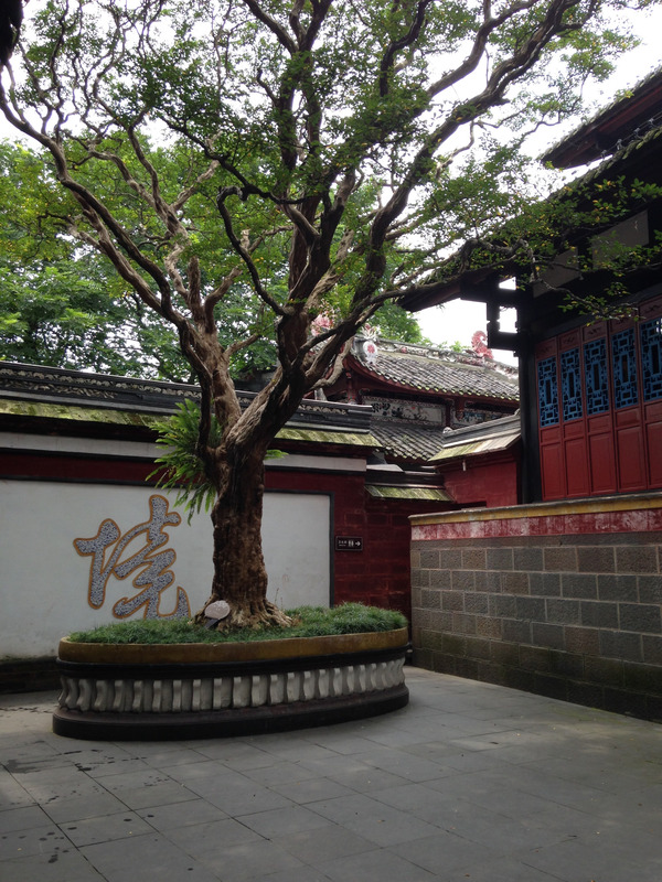 tree in a courtyard