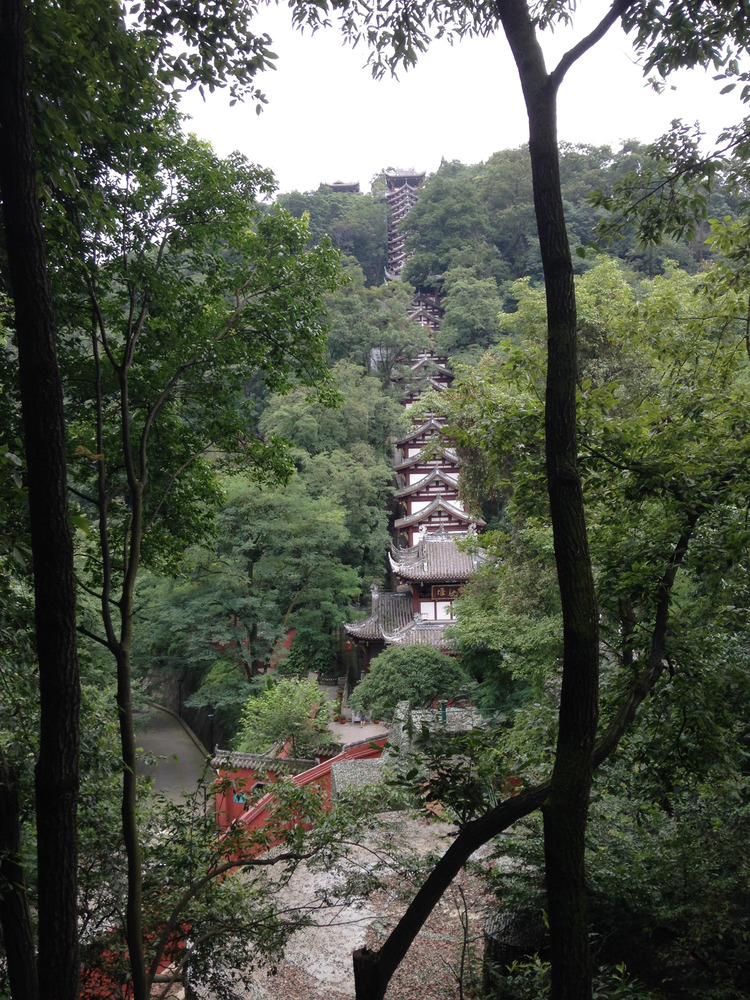 covered escalator ascending the hill