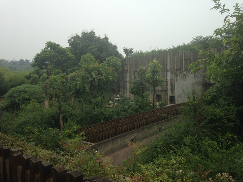 walls of a panda enclosure