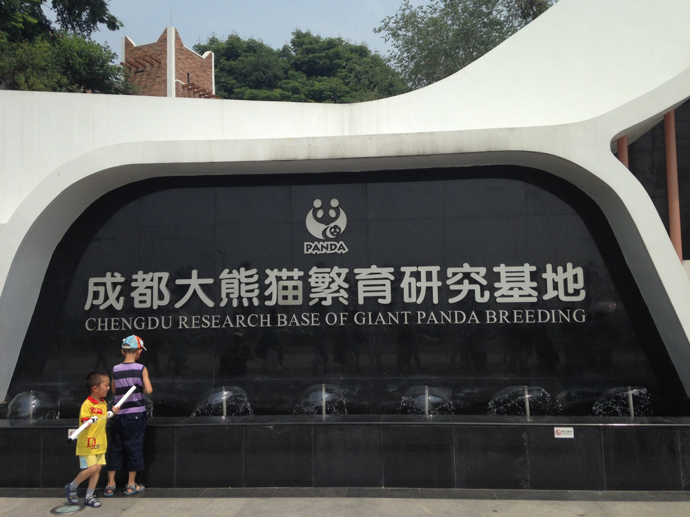 kids playing in front of the entrance sign